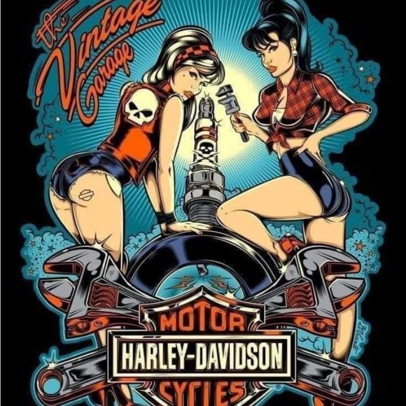 Examples of Harley magnets - Picture 4 of 16